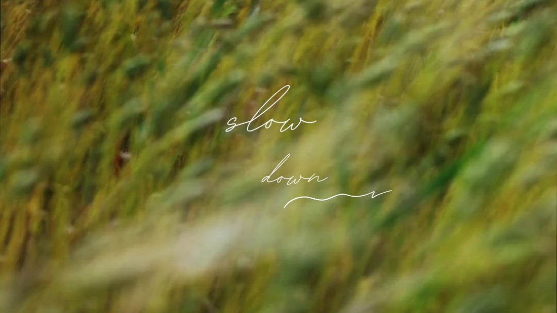 10 Simple Steps to Slow Down & Appreciate Life