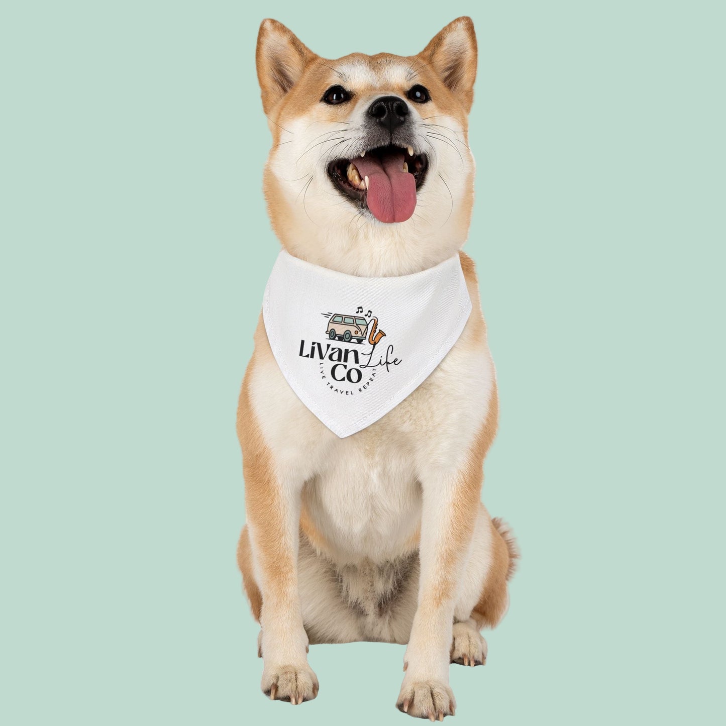 Dog wearing a bandana with 'Livan & Co' branding on a white background