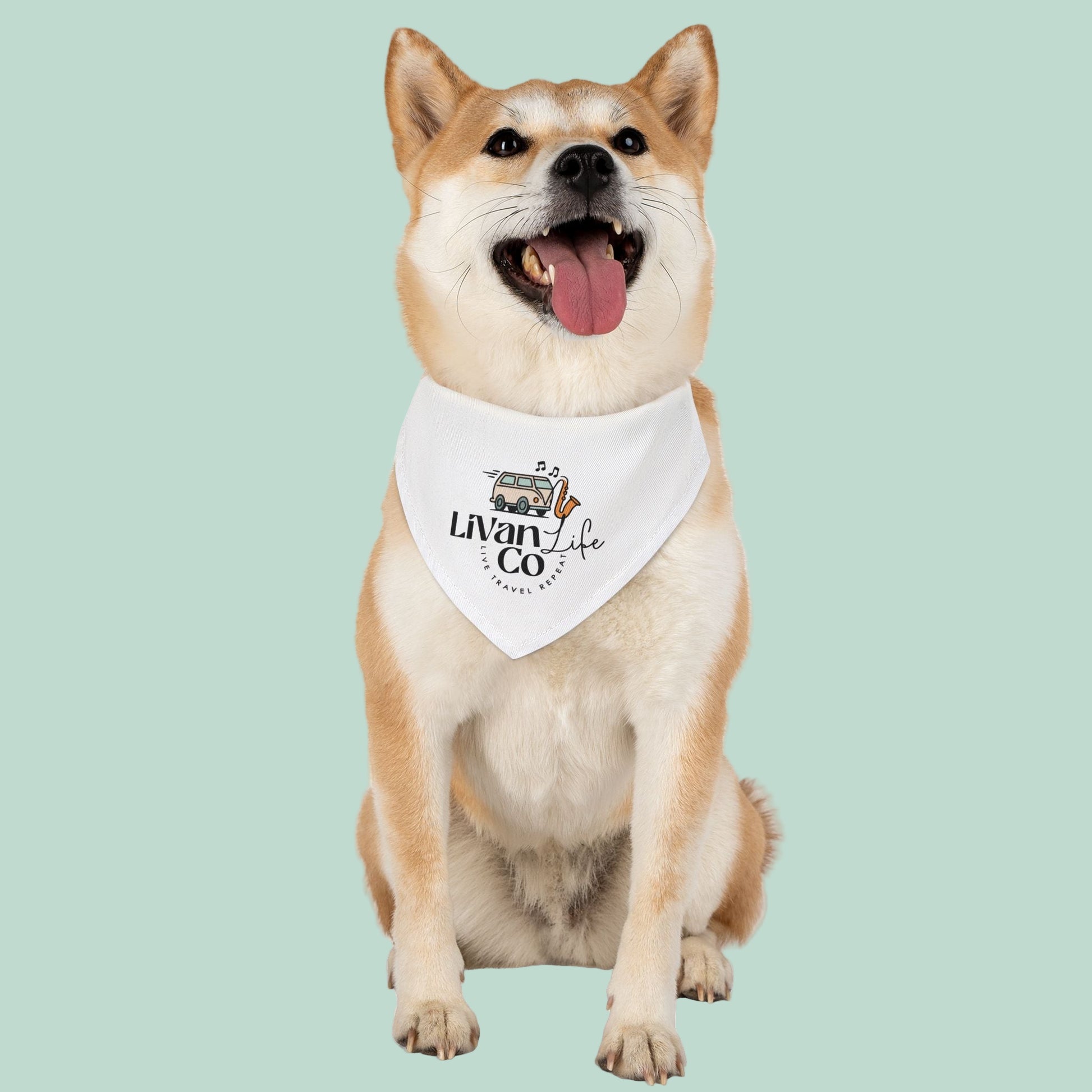Dog wearing a bandana with 'Livan & Co' branding on a white background
