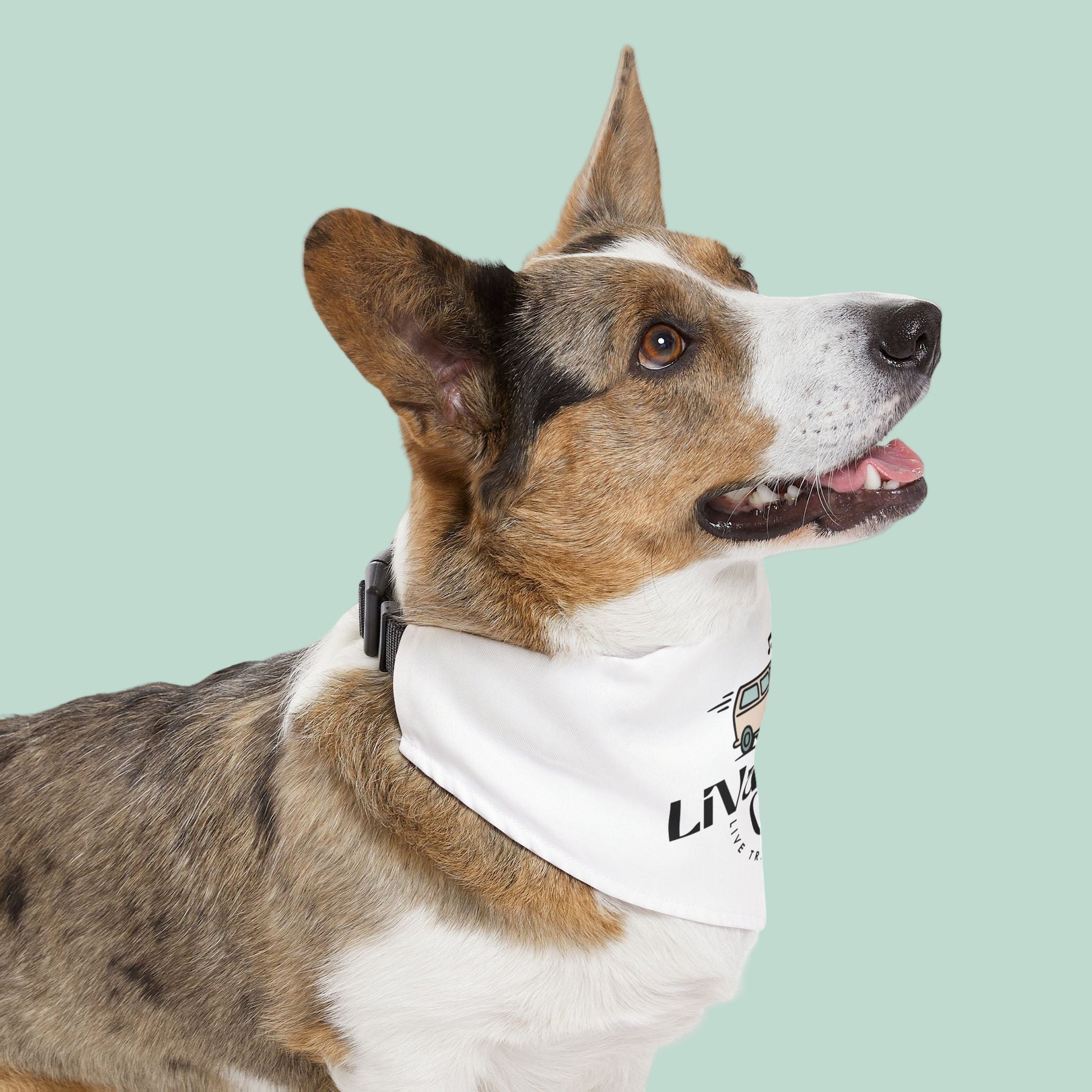 Dog wearing a white bandana with text on a light green background