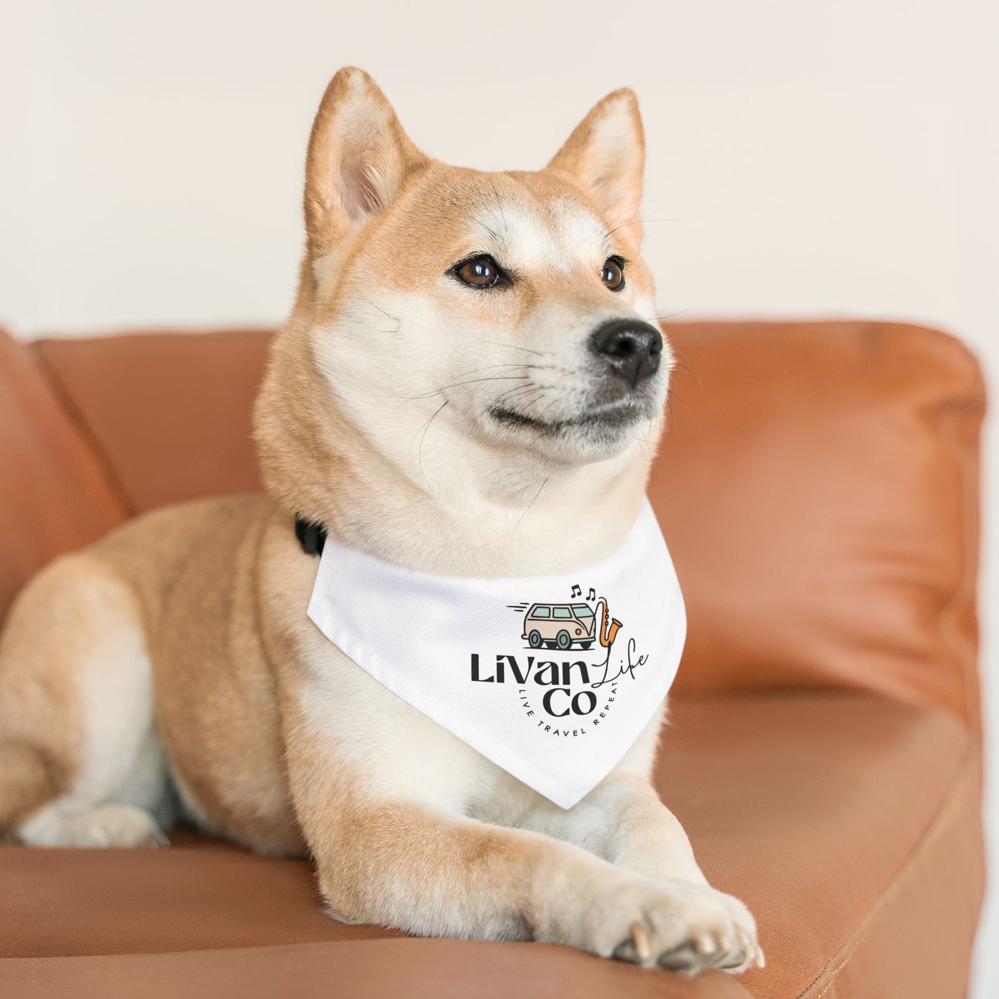 Dog wearing a bandana with 'Livan Co' logo on a brown couch
