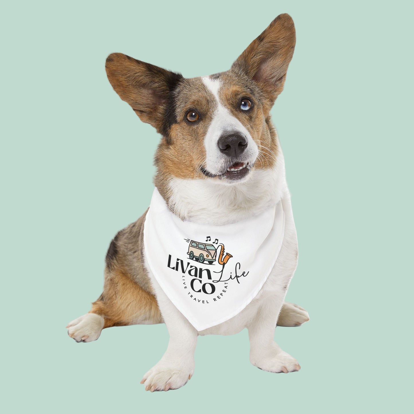Dog wearing a bandana with 'Livan & Co' logo on a light green background