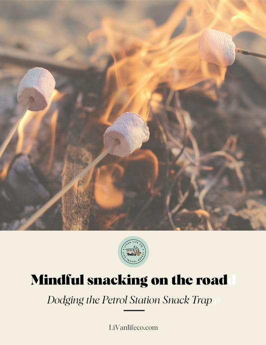 Marshmallows roasting over a campfire with text about mindful snacking on the road and a website URL.